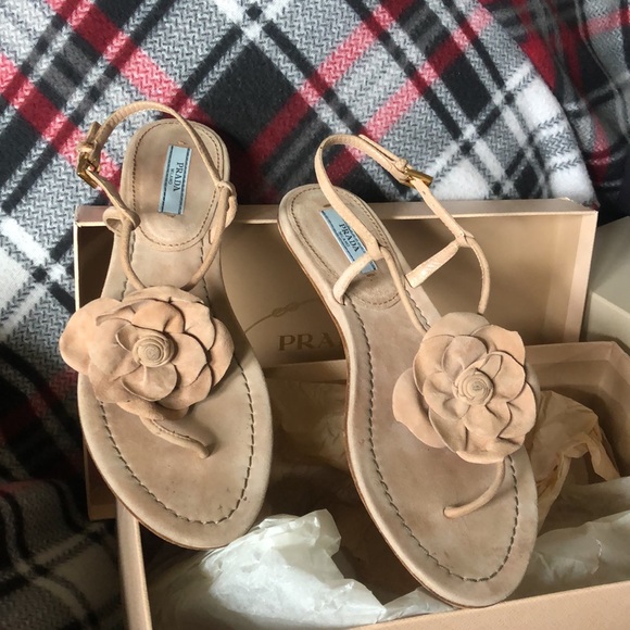 Authentic PRADA shoes size 6 - Picture 4 of 7